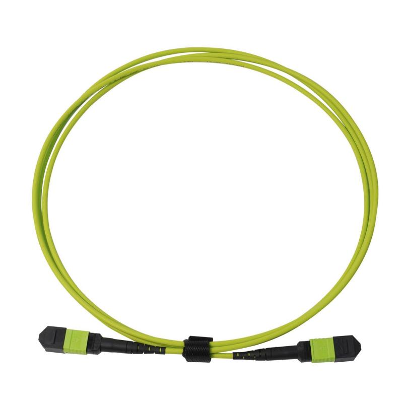 MPO/MPO Trunk Patch Cable OM5 Multimode