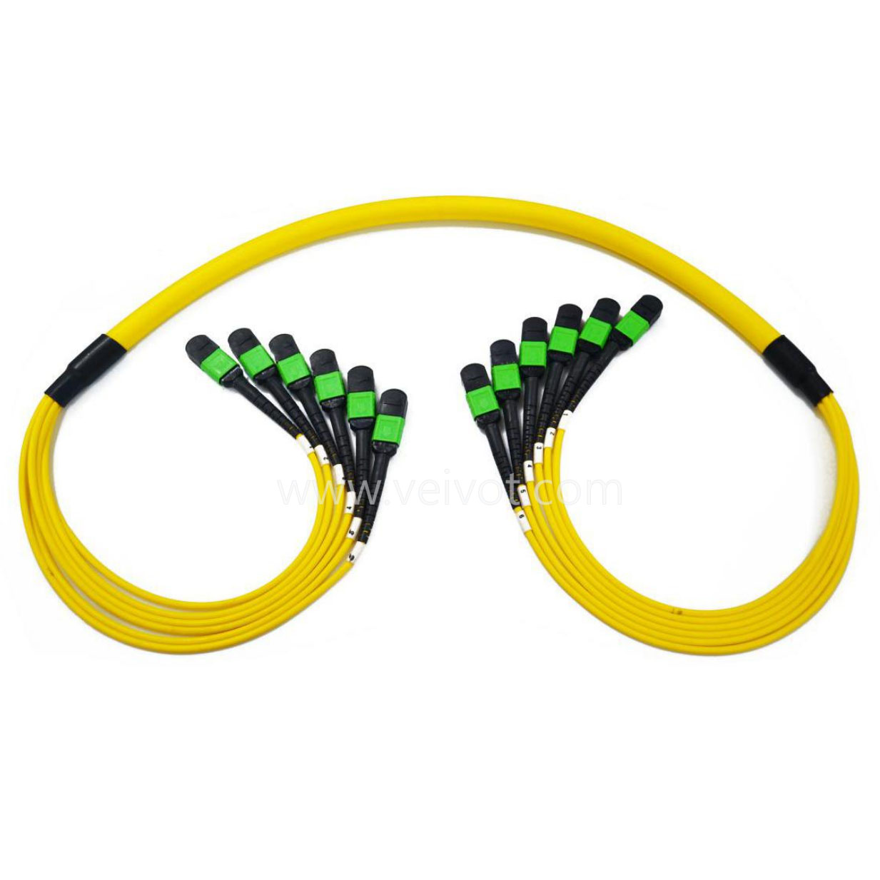 6xMPO-6xMPO Breakout Trunk Cable Singlemode Multimode