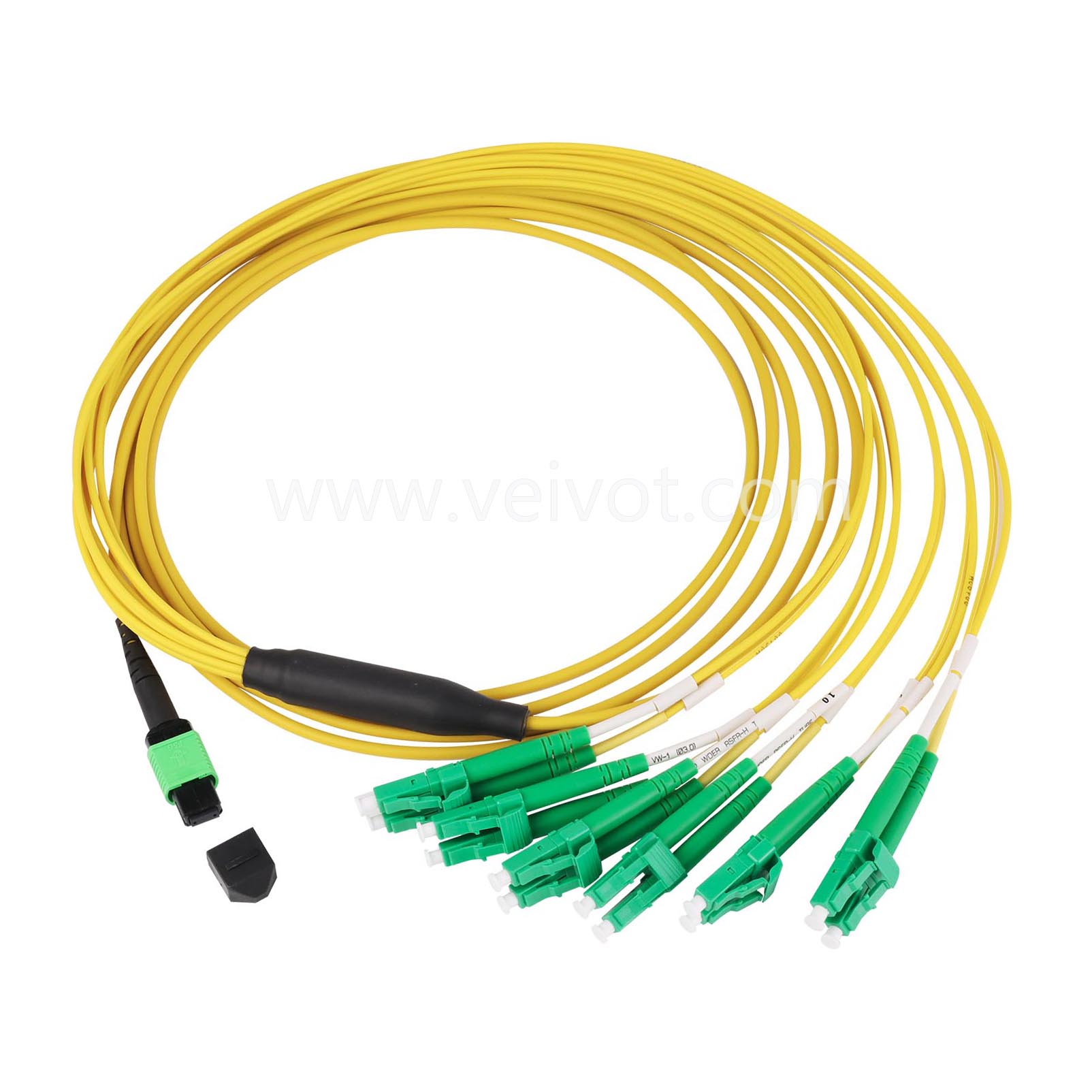 12fibers MPO to LC-APC Duplex Breakout Trunk Cable OS2 Singlemode Blue Sheath - VEIVOT,12fibers MPO to LC-UPC Duplex Breakout Trunk Cable OM4 Multimode Magenta - VEIVOT,12fibers MPO to LC-UPC Duplex Breakout Trunk Cable OM4 OM3 Multimode - VEIVOT,12fibers MPO to LC-UPC Duplex Breakout Trunk Cable OS2 Singlemode Blue Sheath - VEIVOT,,,,,,