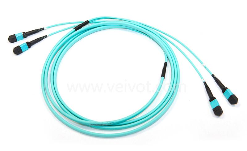 2xMPO-2xMPO Trunk Cable