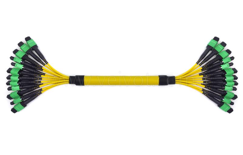 12xMPO-12xMPO Trunk Cable